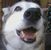 Chuck Busby's profile image