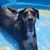 Julie Chechik's profile image