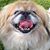 Jeanette Graham Alexander's profile image