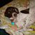 Lynn Shepherd's profile image