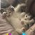 Michelle Dunkel Hicks's profile image