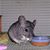 Melinda Scott's profile image