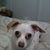 Gina Speedy's profile image