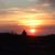 Susan Bahnck Keogh's profile image