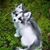 Traci Miller Bolich's profile image