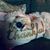 Kristie Perry Altonen's profile image