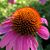Christye Gruen's profile image