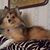 Patricia Dobbins's profile image