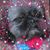 Verna Rennison's profile image