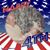 Gina Walbridge's profile image