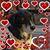 Susan Lou Jaworowicz's profile image