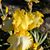 Daria Cuthbertson's profile image