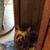 Carol Reeves Christian's profile image