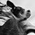Carlie Brewer's profile image
