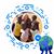 Leisa Wolfe's profile image