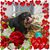 Debbie Rose Wilson's profile image