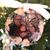 Lisa Lewis-Silva's profile image