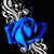 Sayre Tracy's profile image