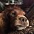 Kimberly Ruffin Salmons's profile image