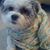 Nhung Ngo's profile image