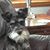 Emma Gallmeyer's profile image