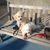 Mickey Miles Freridge's profile image