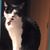 Susanne Swanson's profile image