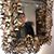 Hieu Dangg's profile image