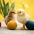 Dianne Eddy's profile image