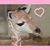 Maria Lundy's profile image