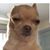 Swede Gee's profile image