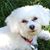 Debbie Coccia's profile image