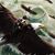 Matthew Bush's profile image