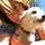 Rose DeAngelis's profile image