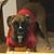 Mary Christal Holloway's profile image