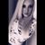 Meghan Jarrell's profile image