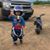 Sheryl Williams's profile image