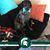 Michaline Largen Lowry's profile image