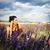 Brooke Sarkaria's profile image