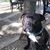 Ian Holdeman's profile image