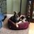 Brenda Miller Jans's profile image