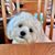 Kathy Mortimer Rick's profile image