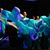 Renay Campos Pavich's profile image