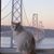Cylian Sven's profile image