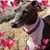 Heather Ditto Ditterline's profile image
