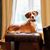 Candice Bennett's profile image
