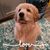 Vicki Harris's profile image