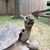 Eric Ratliff's profile image