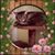 Elaine Welch's profile image