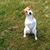 Susan Schoelkopf's profile image